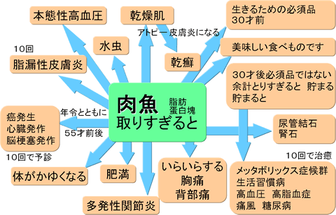 魚・肉のよしあし１.gif